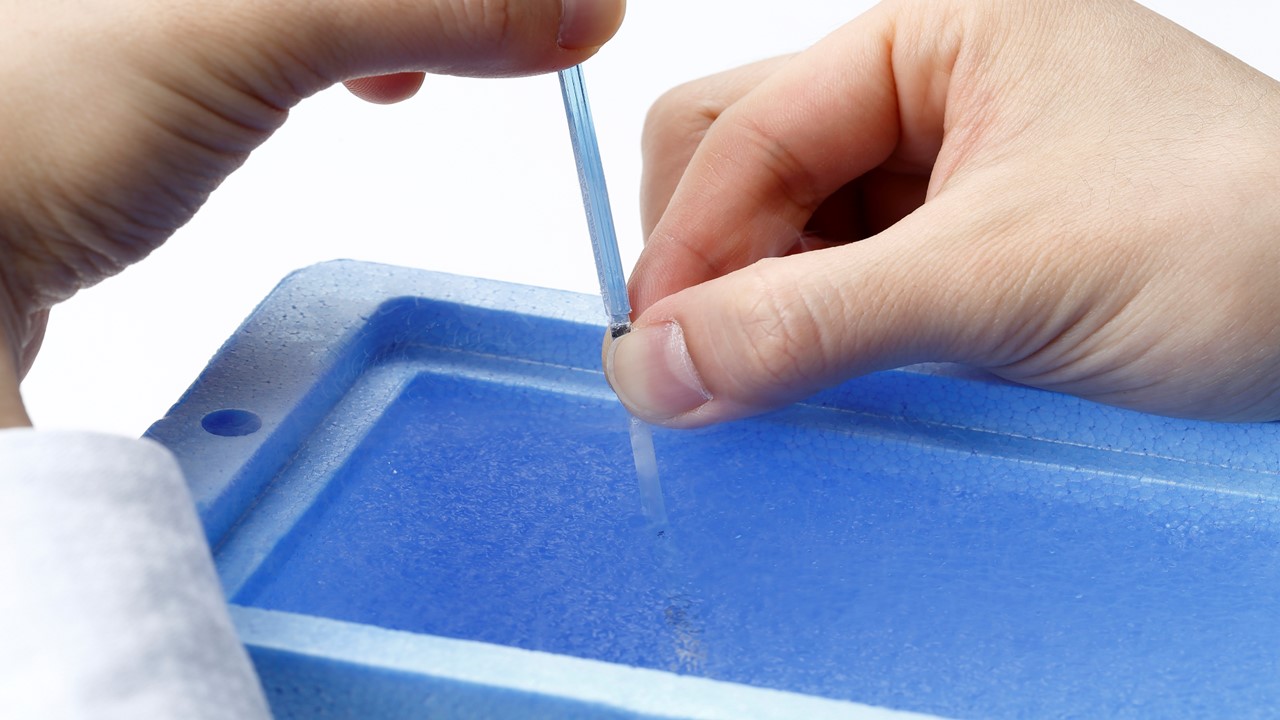 卵子凍結（未受精卵凍結）について 治療について 【不妊治療専門】第二協立病院ARTセンター